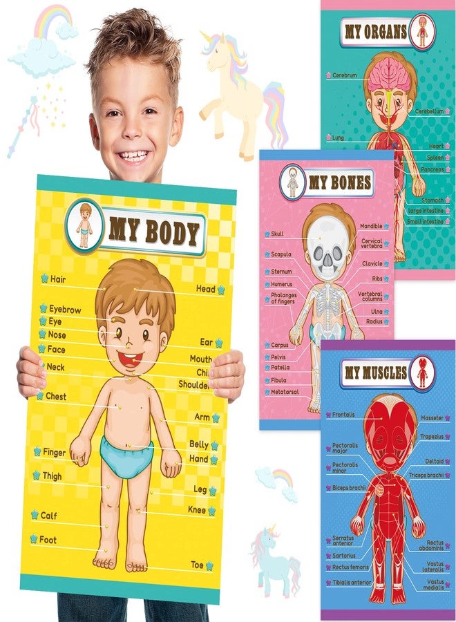 Outus Human Body Educational Learning Posters Body Parts Wall Chart 22 x 17 Inch for Kids Cartoon Anatomy Chart Large Educational Poster Preschool Kindergarten Teaching Supplies, Classroom - Image 1